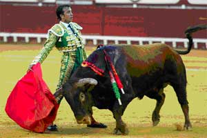 Jesuli de Torrecera lidiando a Liviano