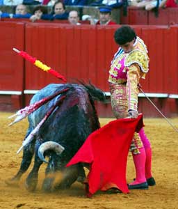 Vilches al natural