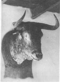 El supuesto Bordadorllamado Vivorillo.