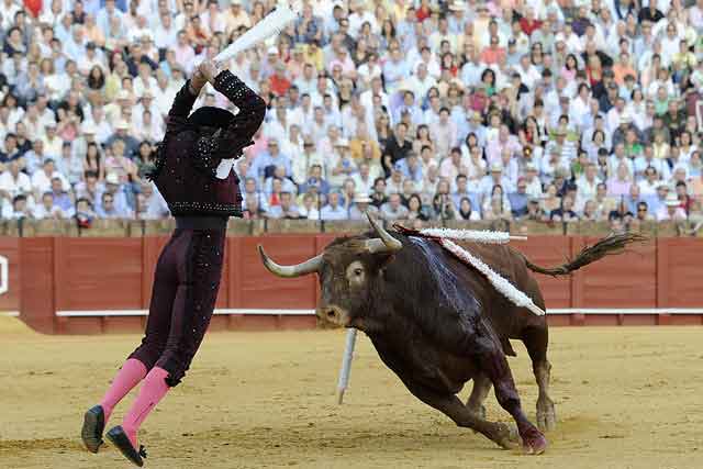 Curro Robles
